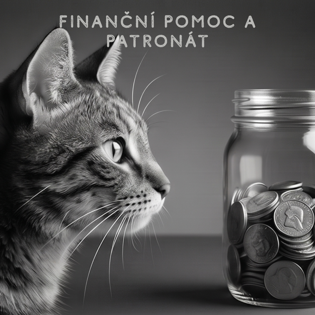 finanční pomoc